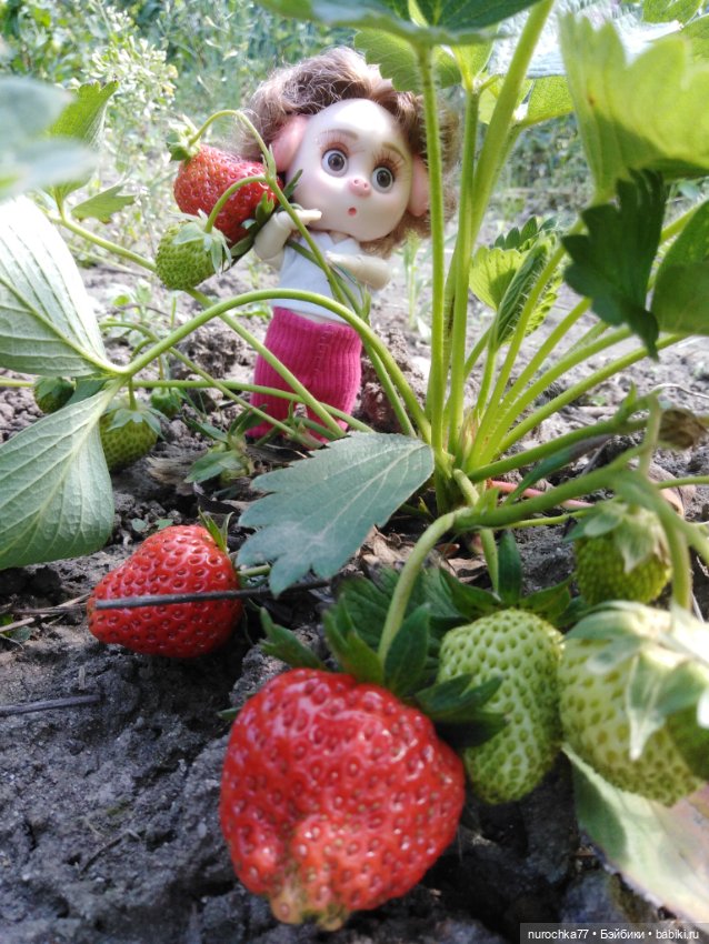 Про Нафочку. Трудяга — Гибриды шарнирных кукол (не БЖД): подбор тела (фото 10)