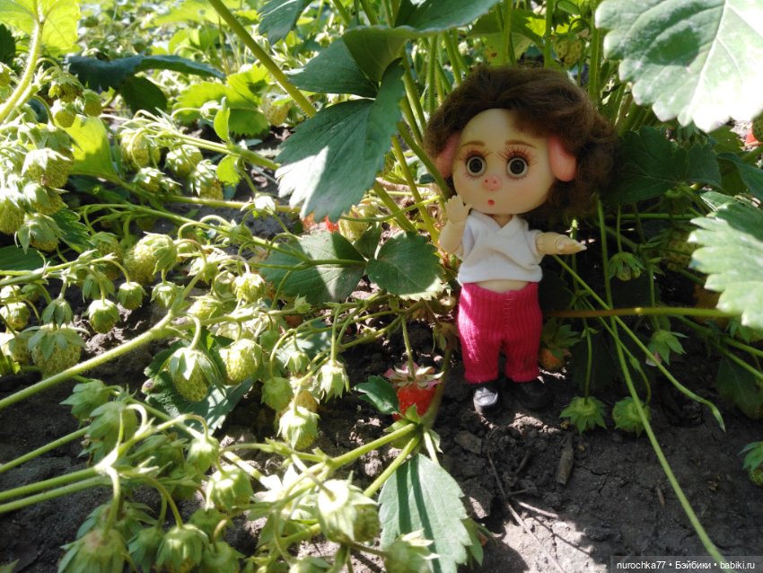 Про Нафочку. Трудяга — Гибриды шарнирных кукол (не БЖД): подбор тела