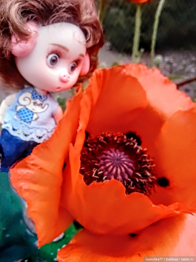 Про Нафочку. Трудяга — Гибриды шарнирных кукол (не БЖД): подбор тела