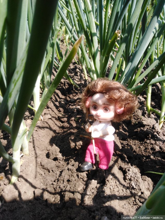 Про Нафочку. Трудяга — Гибриды шарнирных кукол (не БЖД): подбор тела (фото 3)