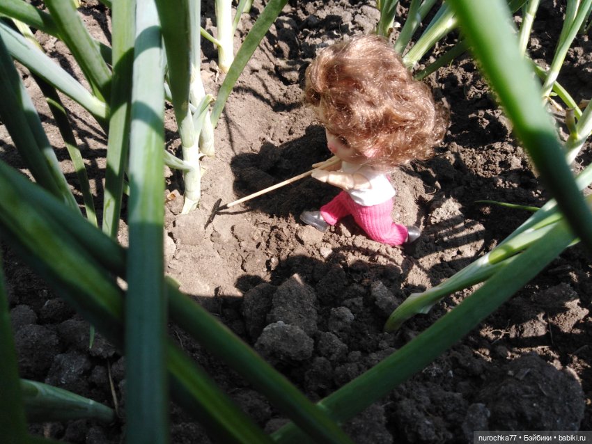 Про Нафочку. Трудяга — Гибриды шарнирных кукол (не БЖД): подбор тела