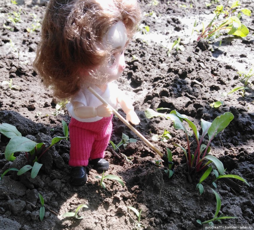 Про Нафочку. Трудяга — Гибриды шарнирных кукол (не БЖД): подбор тела (фото 8)