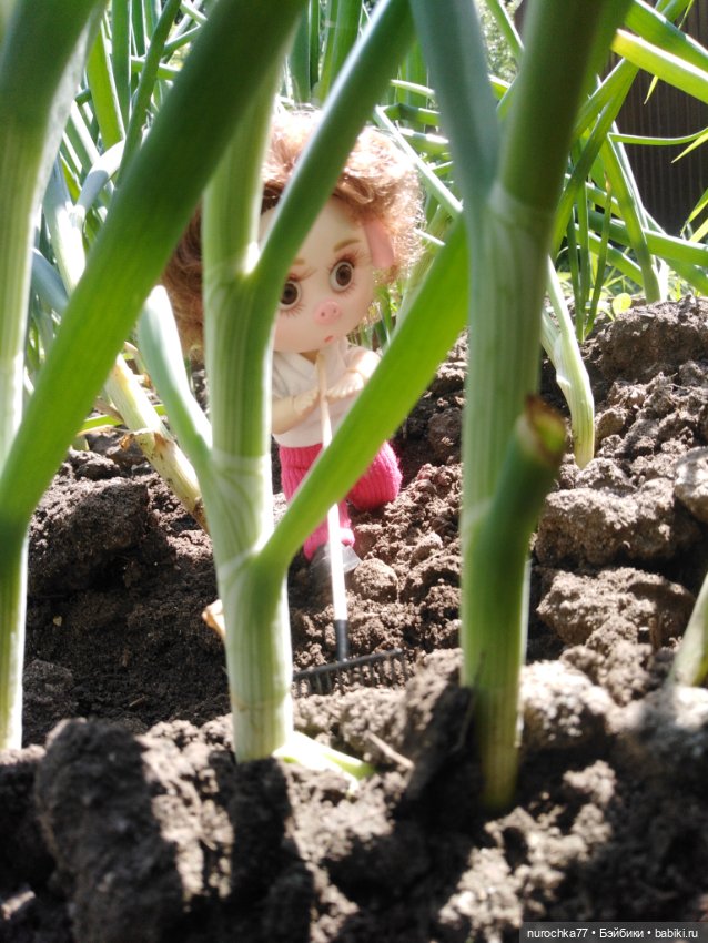 Про Нафочку. Трудяга — Гибриды шарнирных кукол (не БЖД): подбор тела