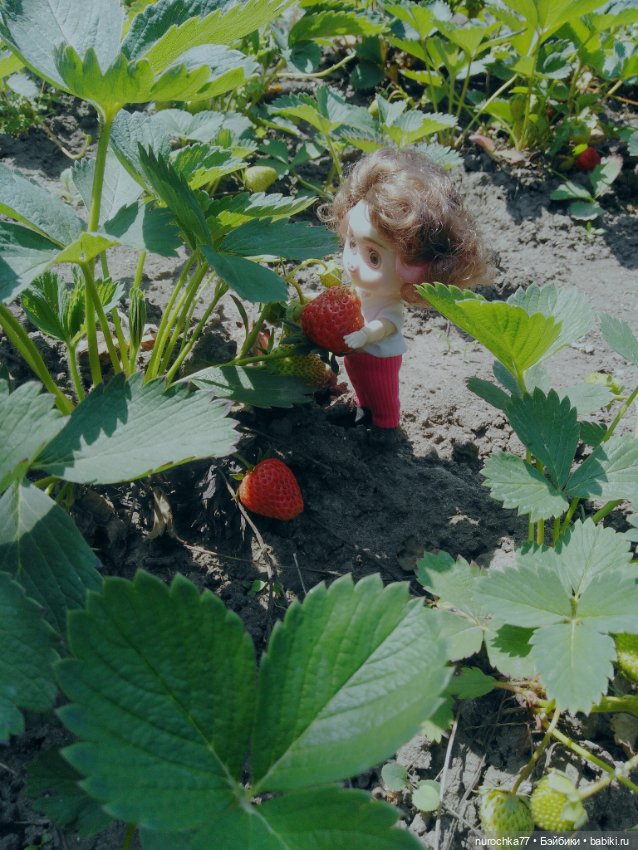 Про Нафочку. Трудяга — Гибриды шарнирных кукол (не БЖД): подбор тела