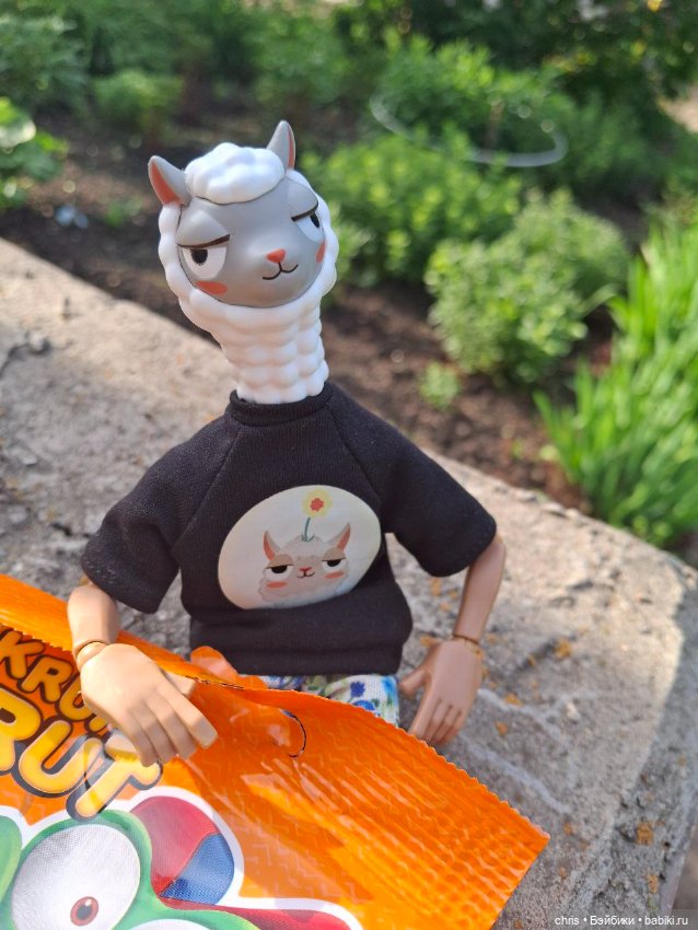 Mr. LLam — Экшн (фото 2)