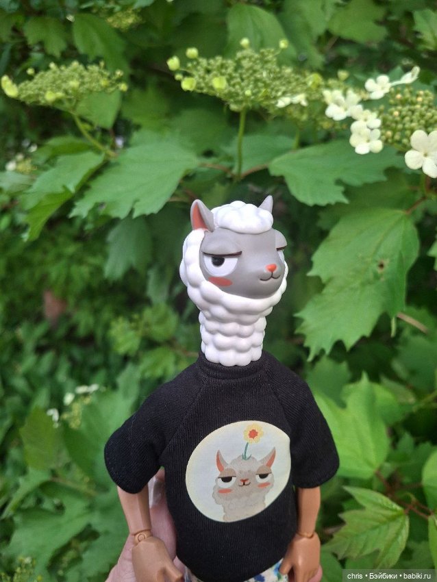 Mr. LLam — Экшн (фото 5)