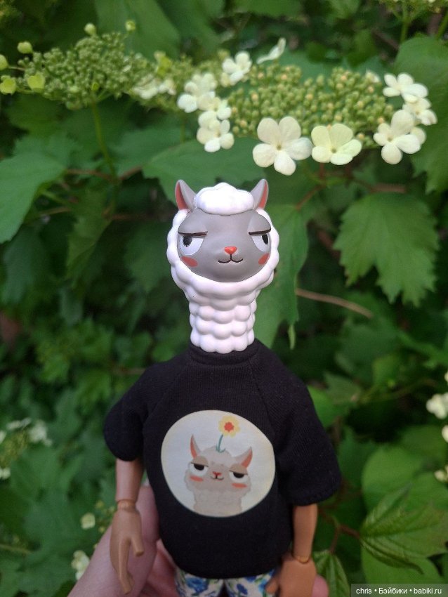 Mr. LLam — Экшн (фото 6)