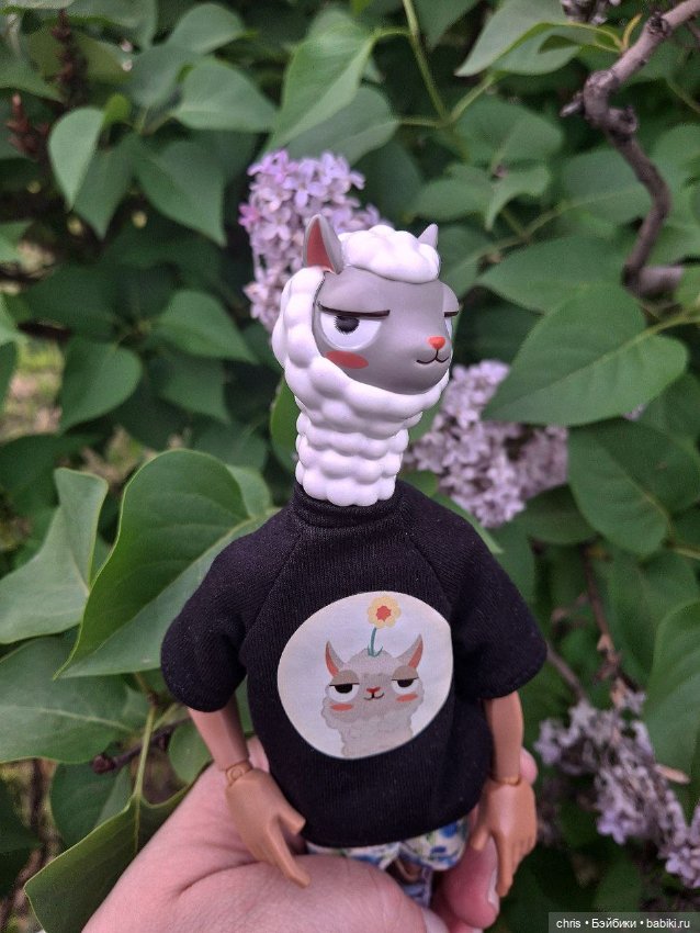 Mr. LLam — Экшн (фото 7)