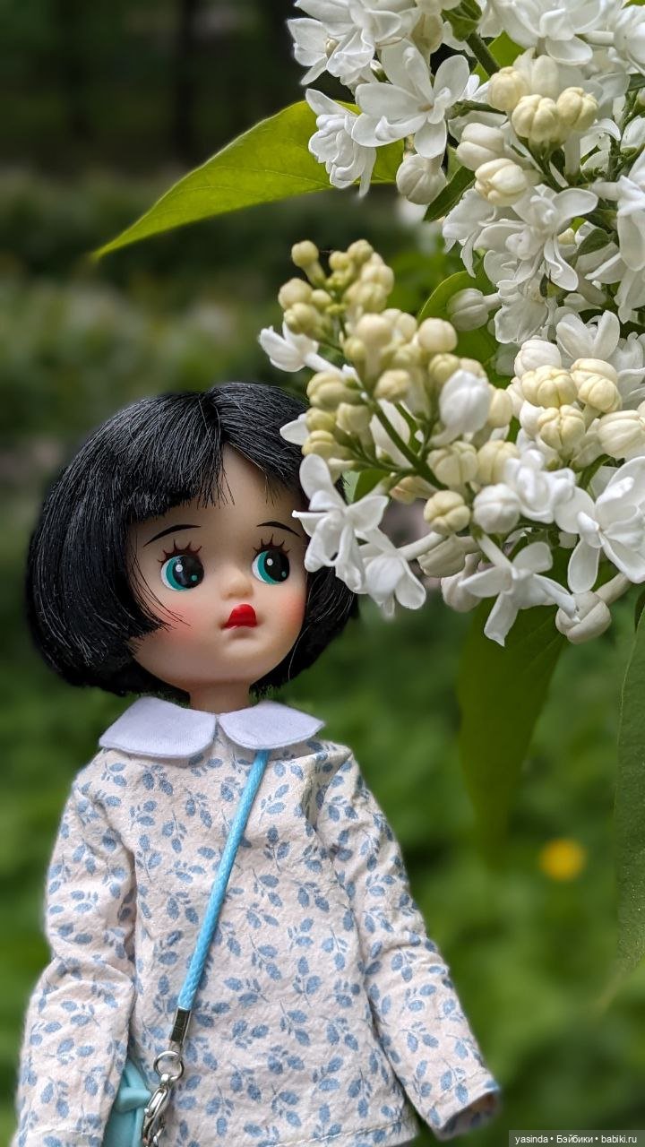 Сиреневый май — Азиатские виниловые куклы (разное): Китай