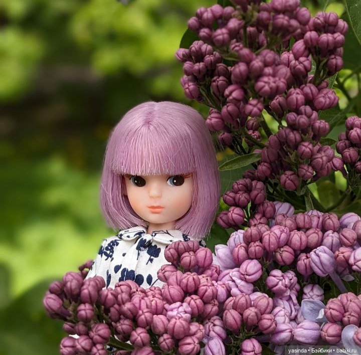 Сиреневый май — Азиатские виниловые куклы (разное): Китай (фото 2)