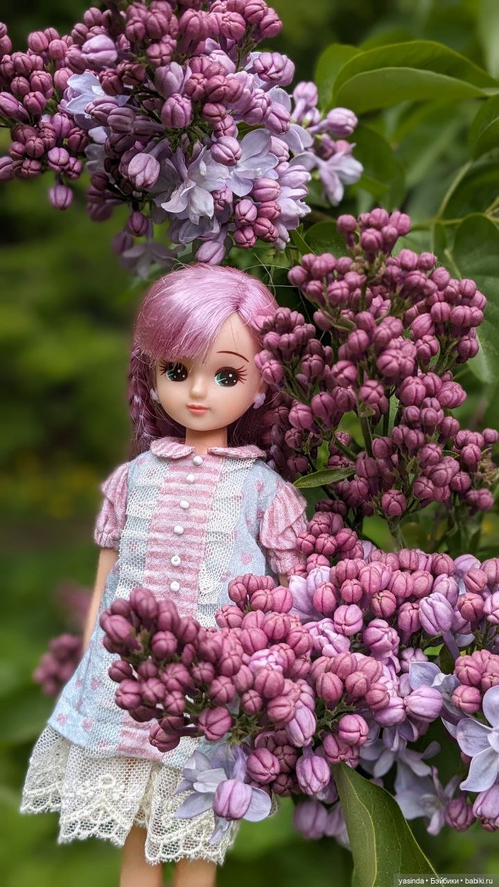 Сиреневый май — Азиатские виниловые куклы (разное): Китай (фото 7)