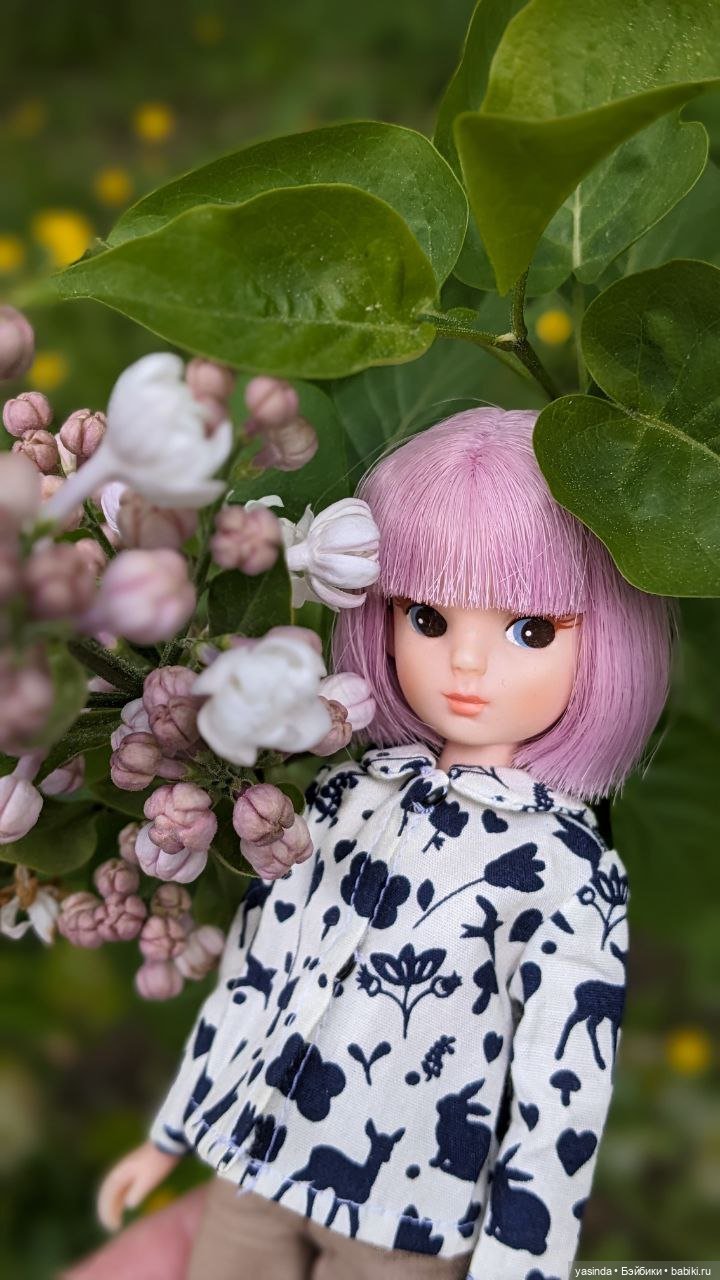 Сиреневый май — Азиатские виниловые куклы (разное): Китай (фото 4)
