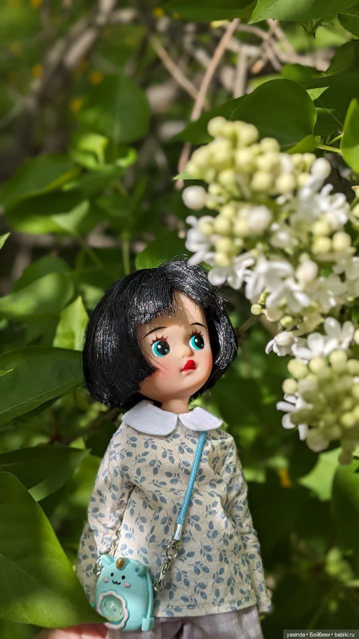 Сиреневый май — Азиатские виниловые куклы (разное): Китай