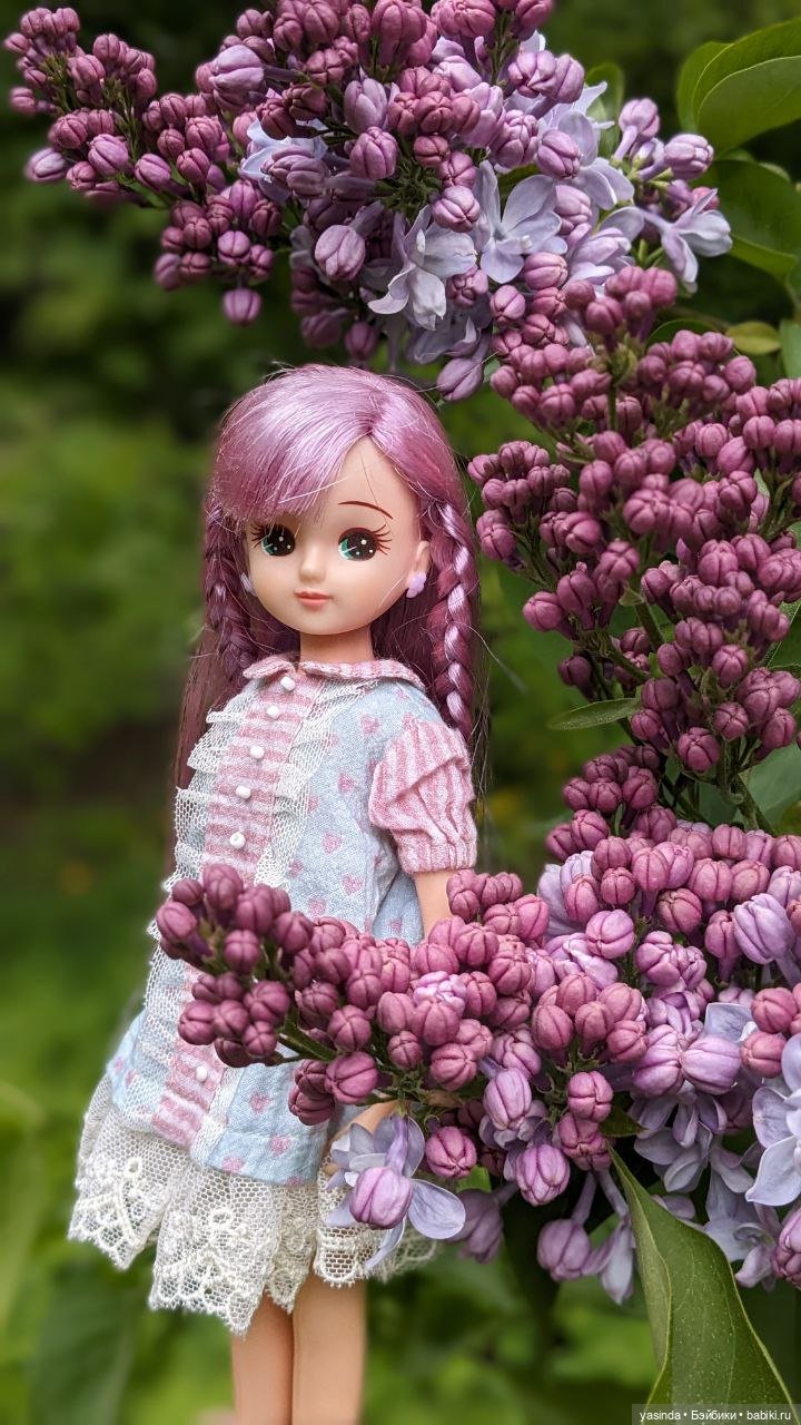Сиреневый май — Азиатские виниловые куклы (разное): Китай (фото 8)