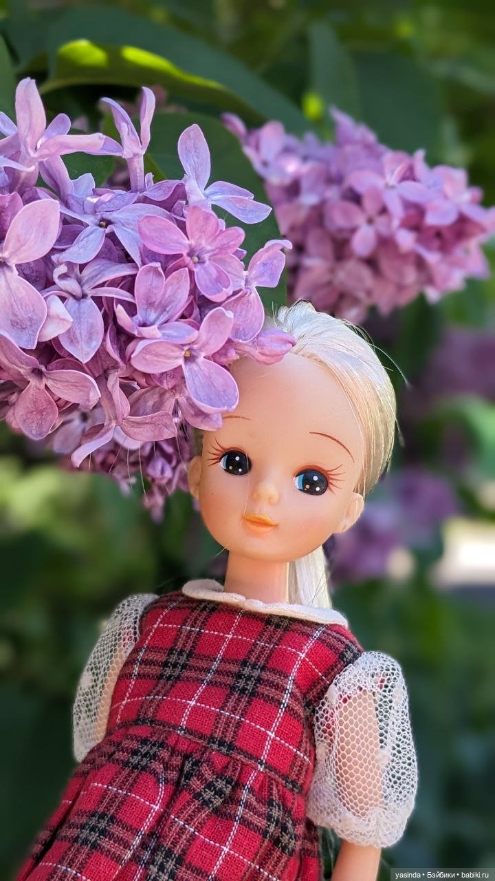 Сиреневый май — Азиатские виниловые куклы (разное): Китай