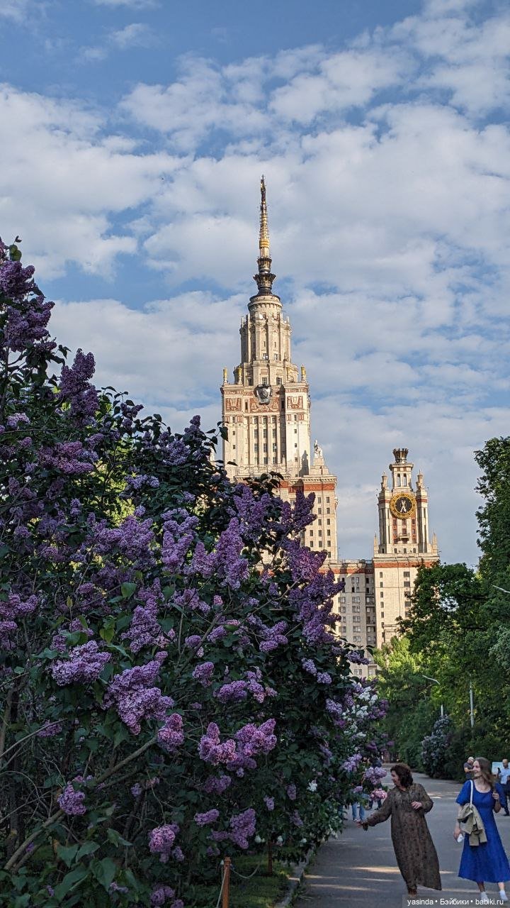 Сиреневый май — Азиатские виниловые куклы (разное): Китай
