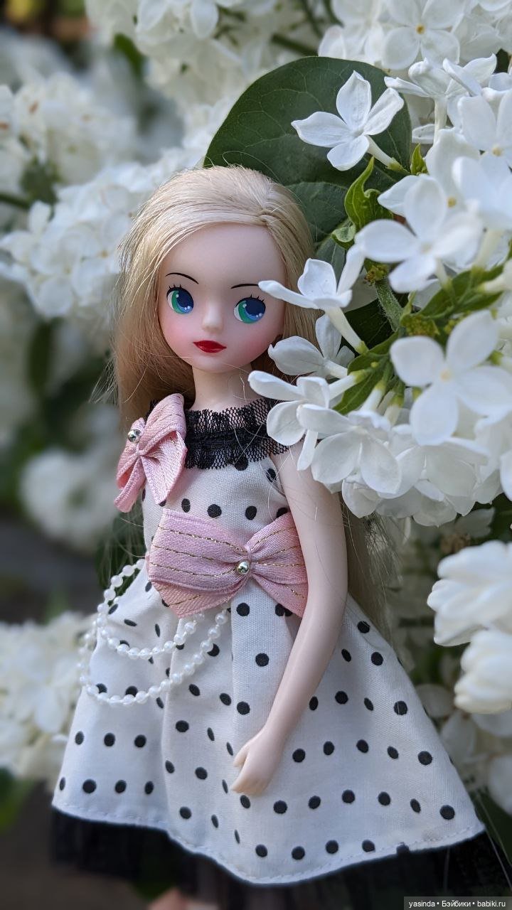 Сиреневый май — Азиатские виниловые куклы (разное): Китай