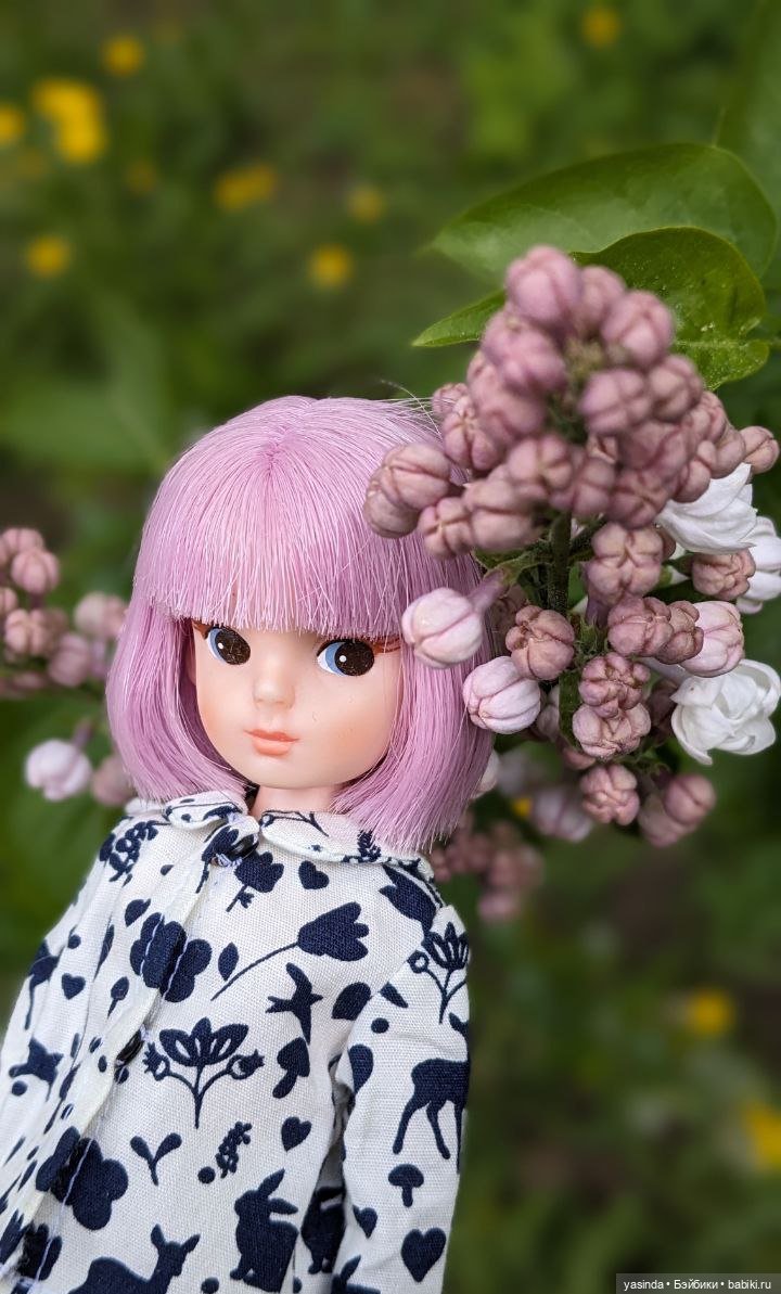 Сиреневый май — Азиатские виниловые куклы (разное): Китай (фото 5)