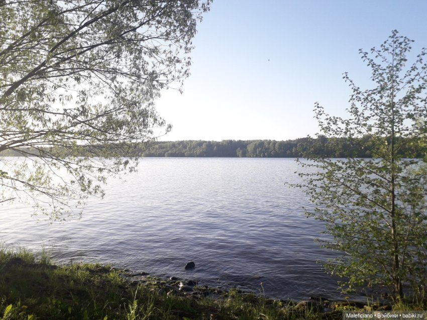 Художник и его Муза 😊 — Куклы Iplehouse (Иплхаус): BJD (БЖД) (фото 10)