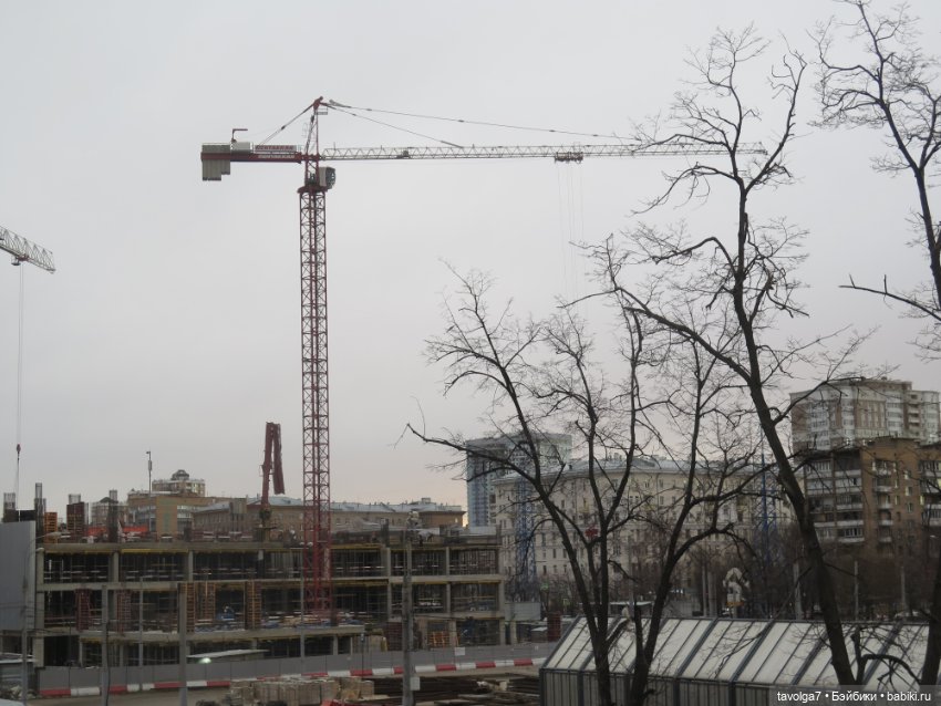 Эль-Ин из клана Эошаан — Игровые куклы разных производителей (Разное): редкие бренды