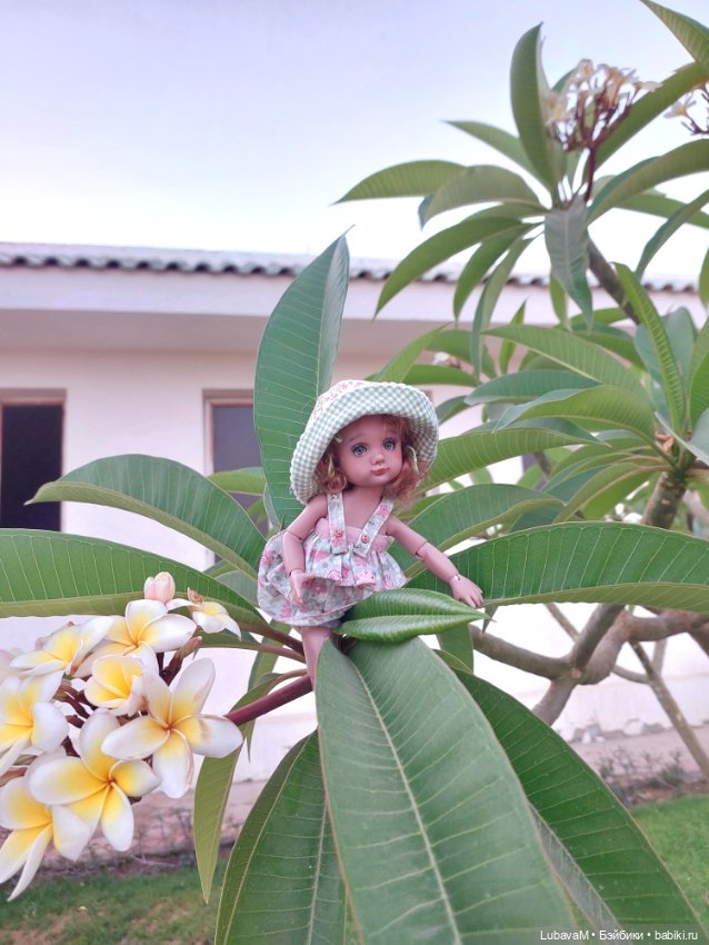 Малышки в Африке — Интересное обо всем: поздравления