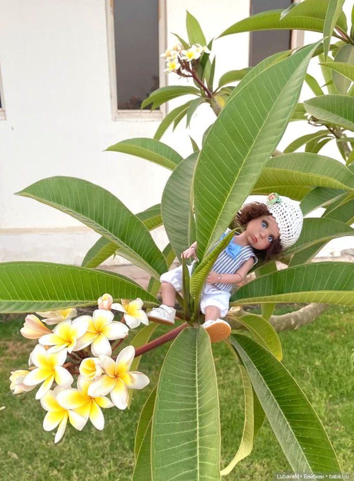 Малышки в Африке — Интересное обо всем: поздравления