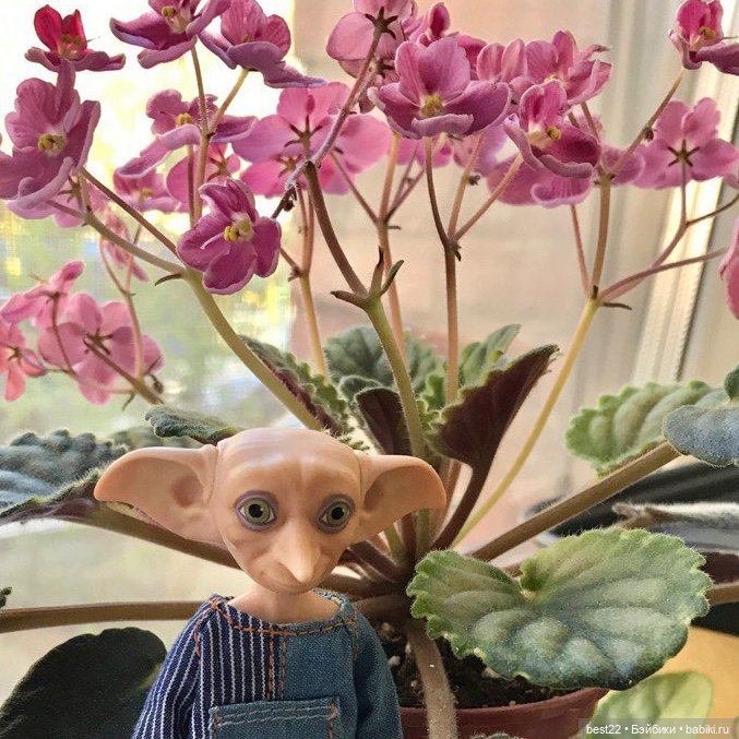 Фиалковое настроение — Красивая природа и цветы: фото пейзажей (фото 4)