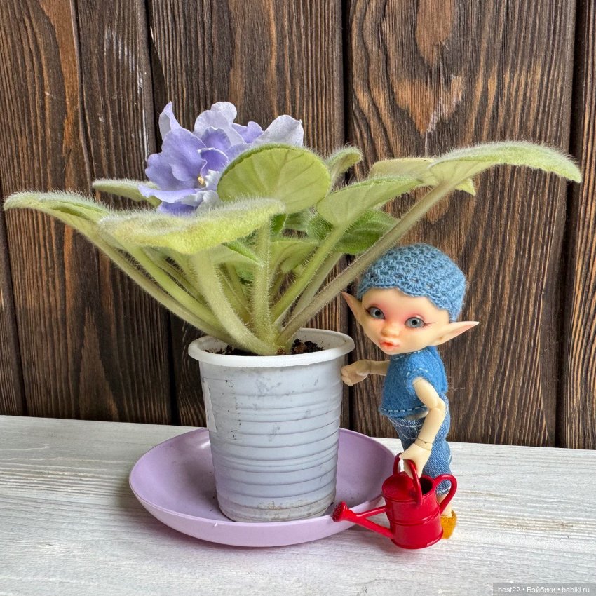 Фиалковое настроение — Красивая природа и цветы: фото пейзажей (фото 5)