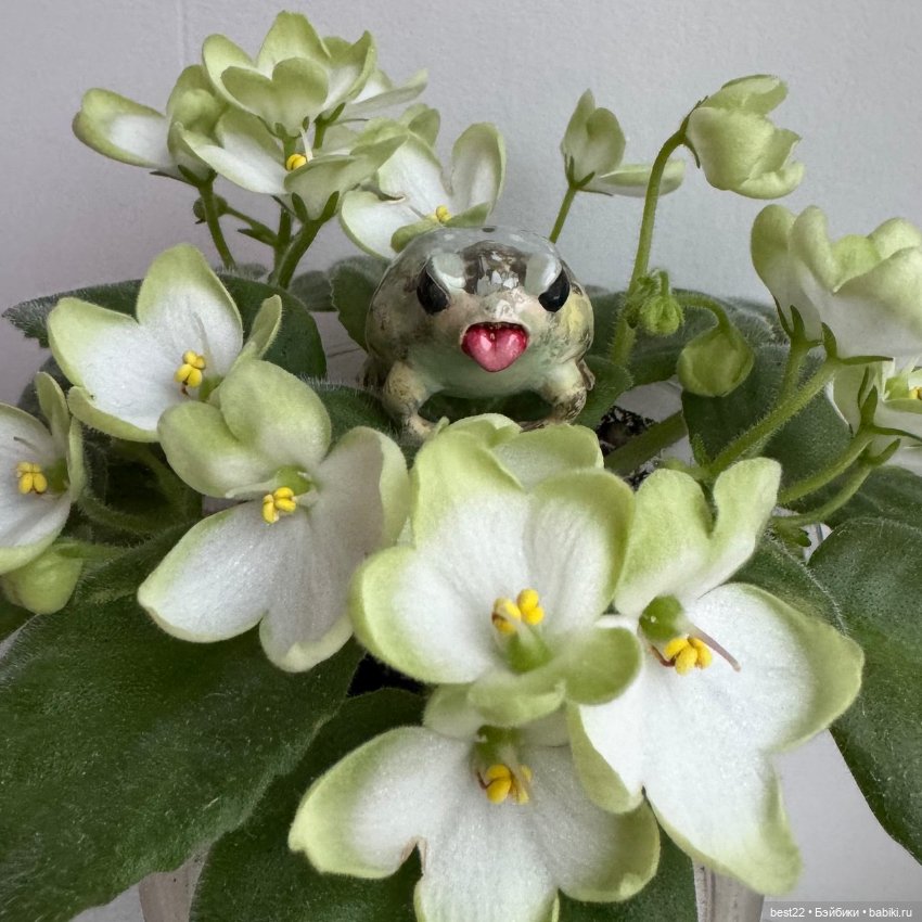 Фиалковое настроение — Красивая природа и цветы: фото пейзажей (фото 6)