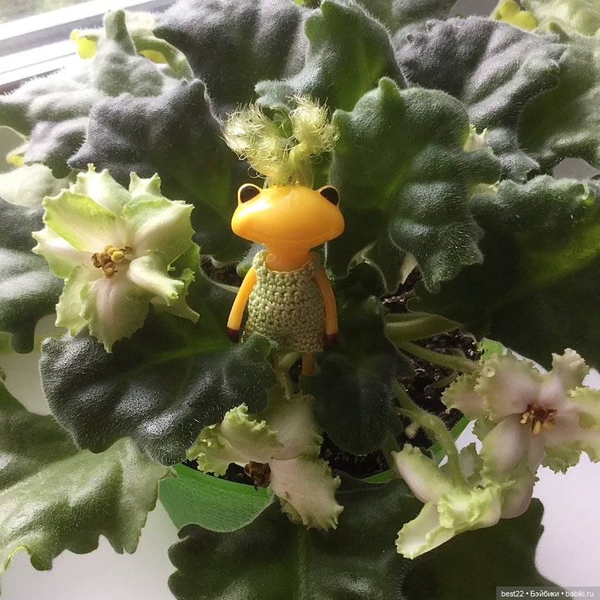 Фиалковое настроение — Красивая природа и цветы: фото пейзажей (фото 2)