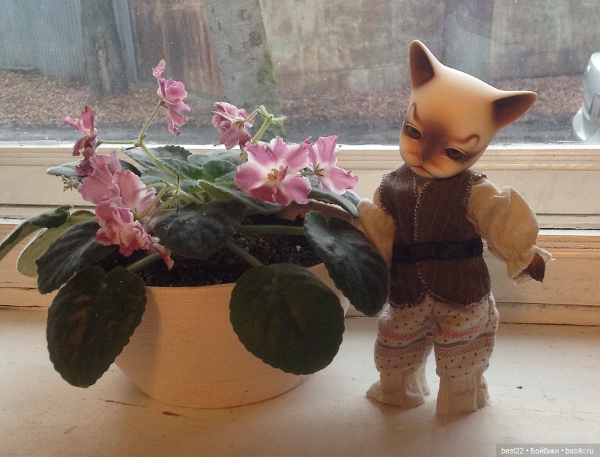 Фиалковое настроение — Красивая природа и цветы: фото пейзажей