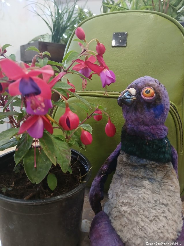 Георгий. Голубь с картинки