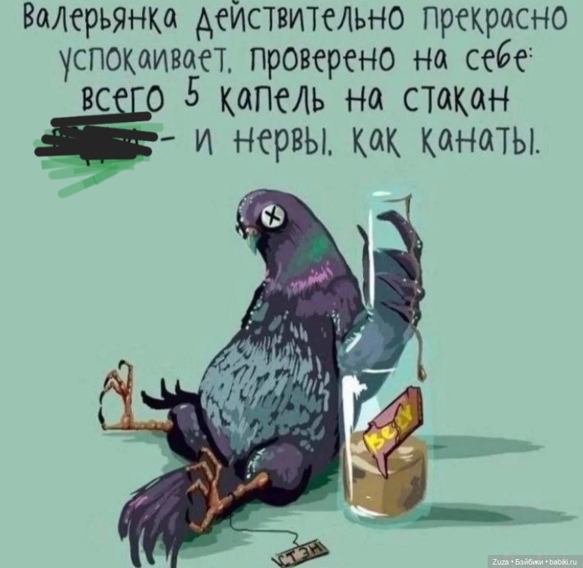 Георгий. Голубь с картинки