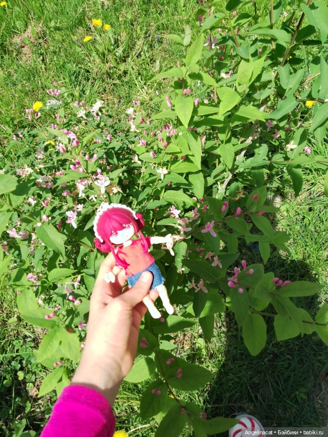 Прогулка — Аниме куклы (MJD/Винил): Imomo