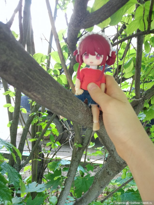 Прогулка — Аниме куклы (MJD/Винил): Imomo