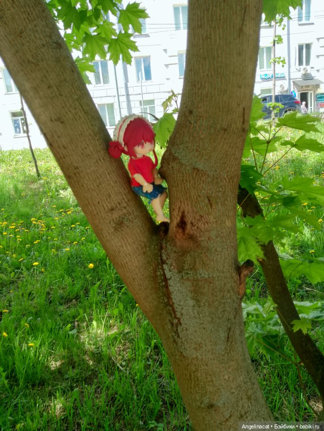 Прогулка — Аниме куклы (MJD/Винил): Imomo