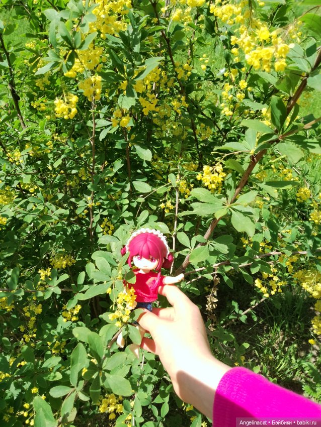 Прогулка — Аниме куклы (MJD/Винил): Imomo