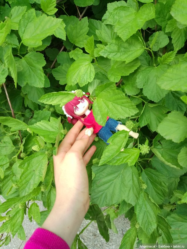 Прогулка — Аниме куклы (MJD/Винил): Imomo