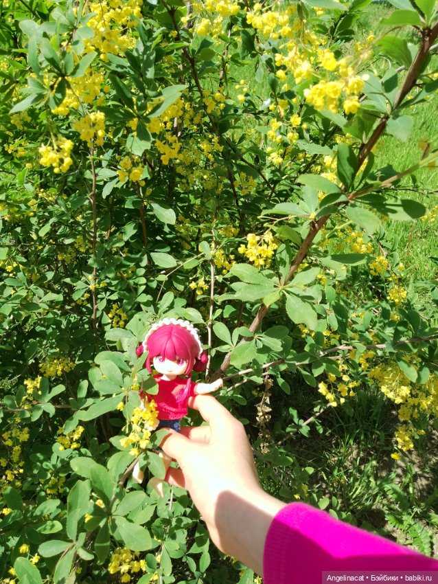 Прогулка — Аниме куклы (MJD/Винил): Imomo