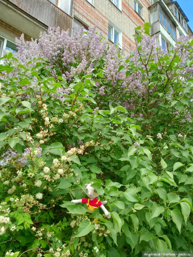 Прогулка — Аниме куклы (MJD/Винил): Imomo (фото 10)