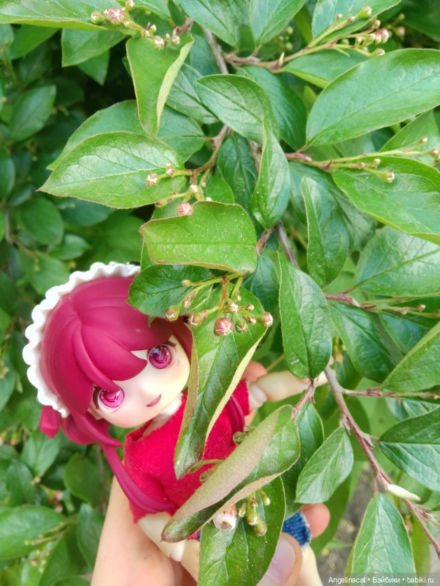 Прогулка — Аниме куклы (MJD/Винил): Imomo