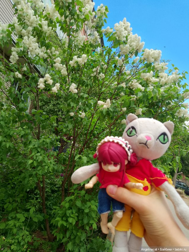 Прогулка — Аниме куклы (MJD/Винил): Imomo (фото 5)