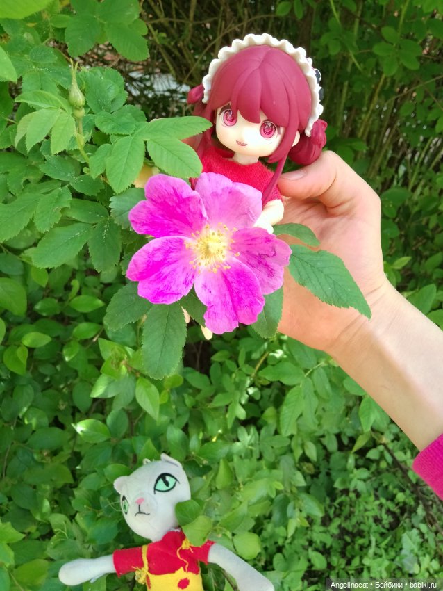 Прогулка — Аниме куклы (MJD/Винил): Imomo