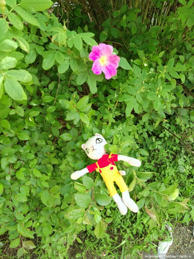 Прогулка — Аниме куклы (MJD/Винил): Imomo