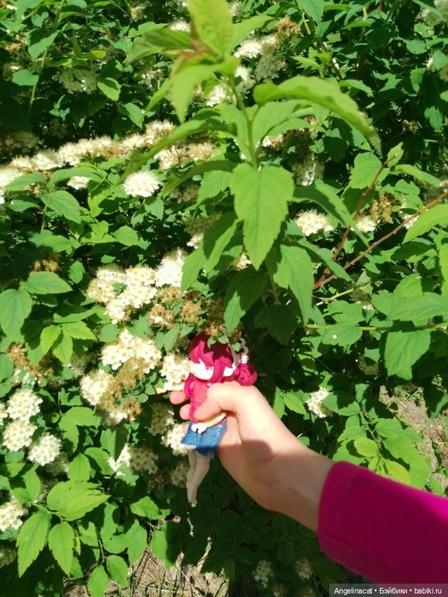 Прогулка — Аниме куклы (MJD/Винил): Imomo