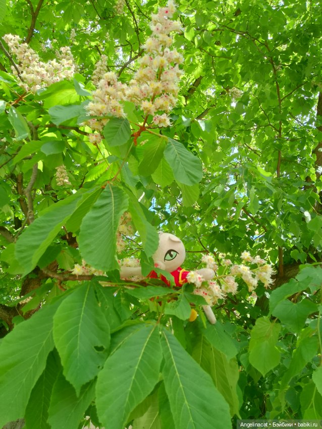 Прогулка — Аниме куклы (MJD/Винил): Imomo (фото 3)