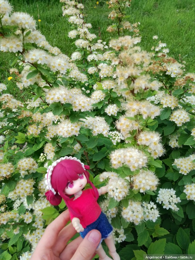 Прогулка — Аниме куклы (MJD/Винил): Imomo