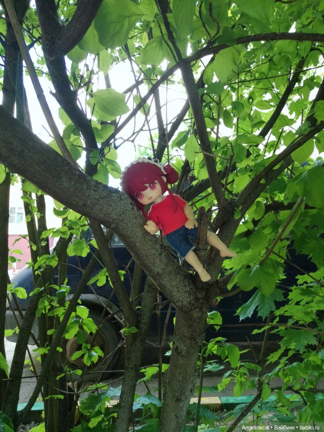 Прогулка — Аниме куклы (MJD/Винил): Imomo