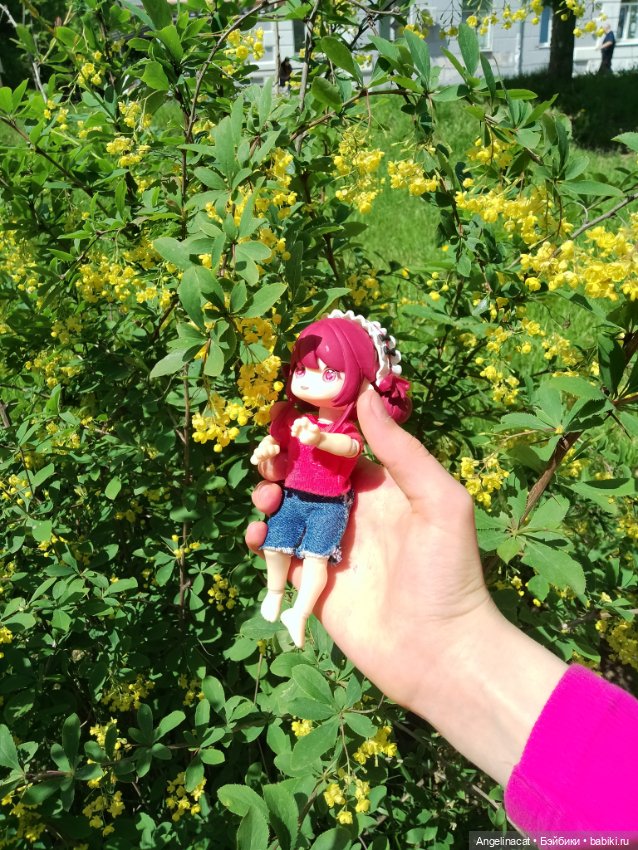 Прогулка — Аниме куклы (MJD/Винил): Imomo