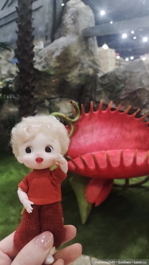 Жизнь моих кукол — Коллекции игровых кукол (Playline): фото полок (фото 7)